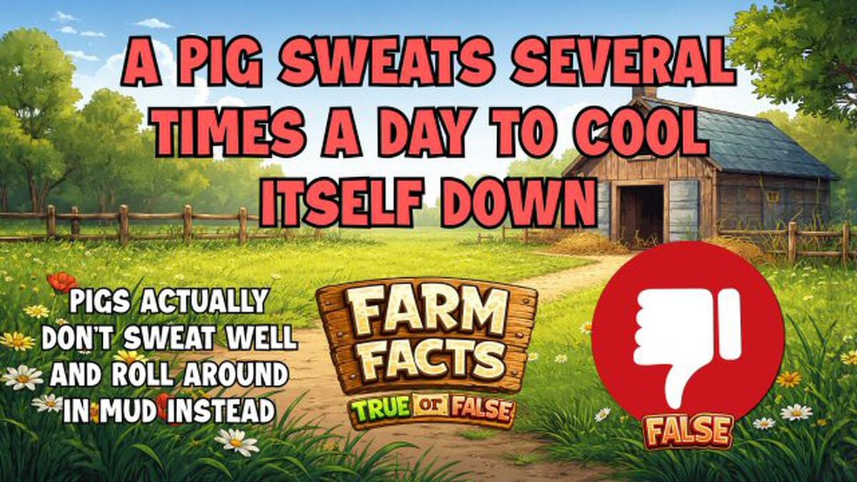 Farm Facts image number null
